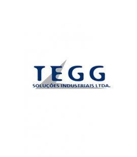 Tegg Soluções Industriais Ltda 